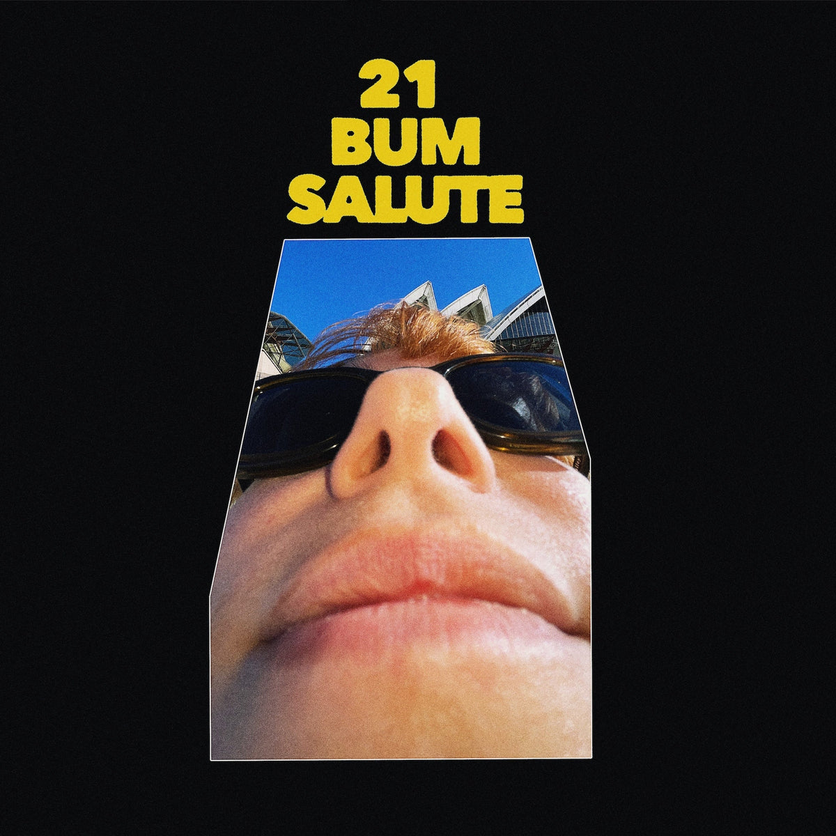 Party Dozen - 12 Bum Salute